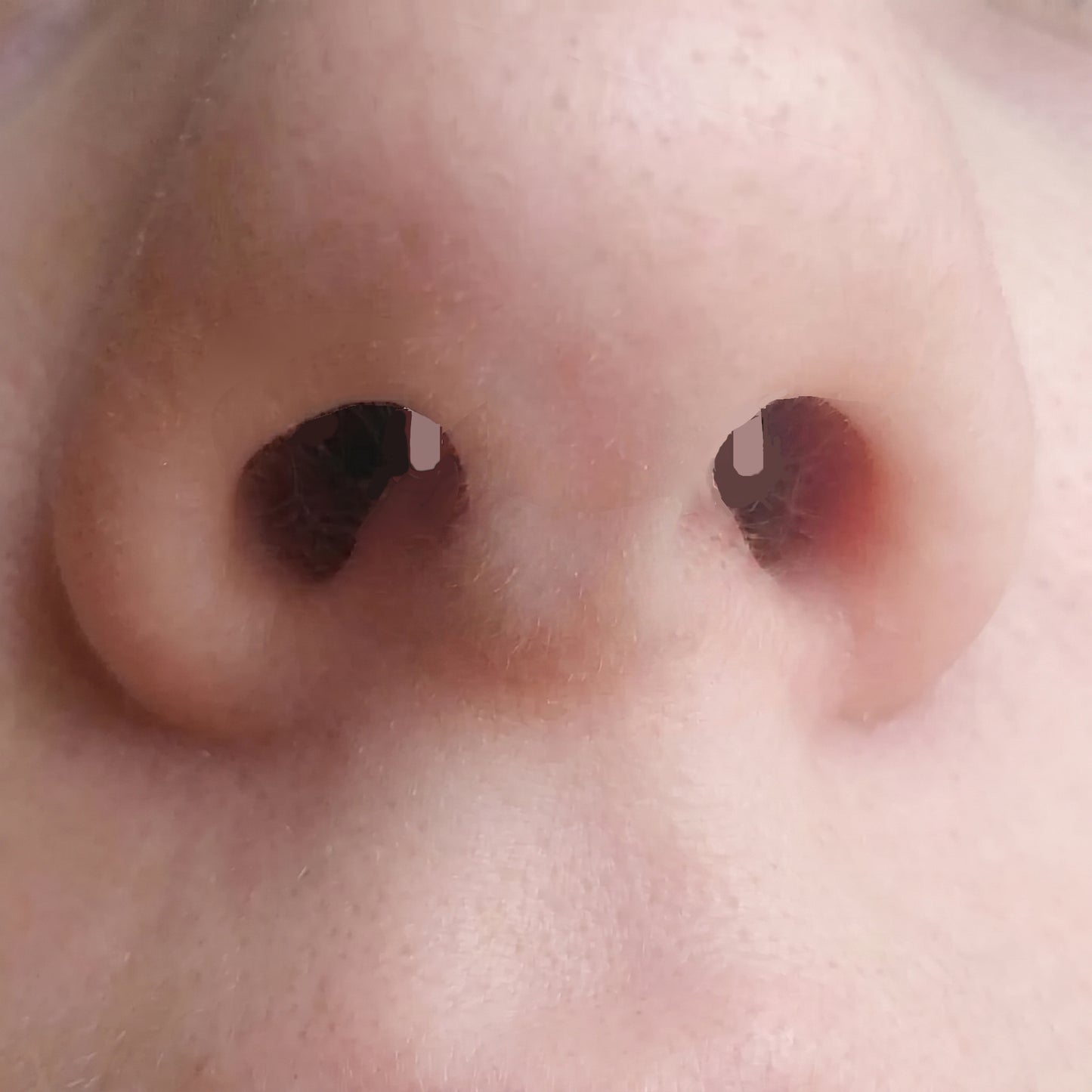 Clear Acrylic Staple Design Septum Retainer pictured in the septum piercing a female model.