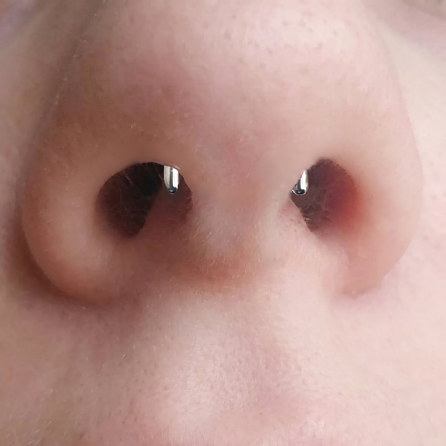 Staple Design Septum Retainer 316L Surgical Steel pictured in the septum piercing of a female model.