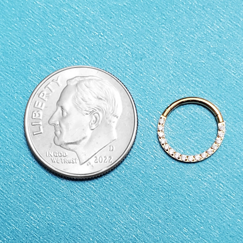 A surgical steel 18g segment ring pictured on an aqua background next to a dime for a size comparison.