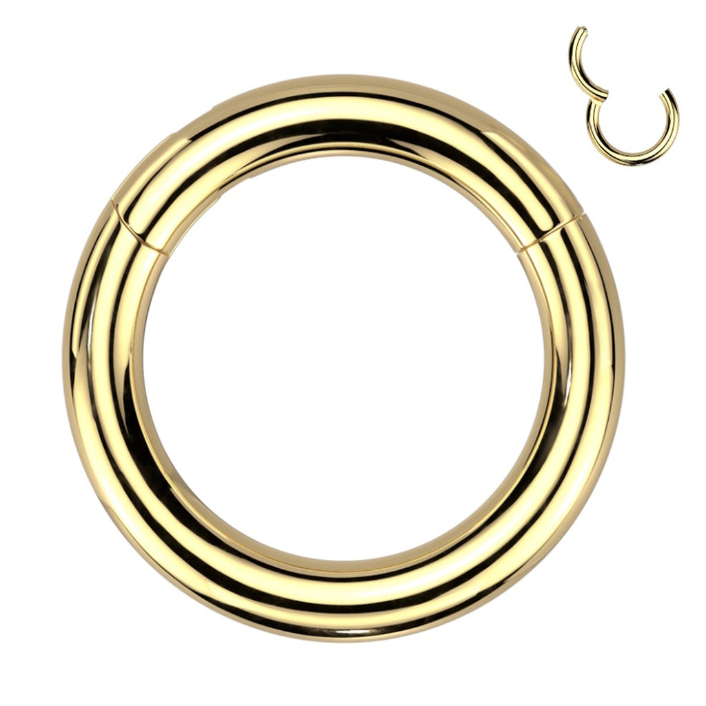 Hinged Segment Ring 8 Gauge ASTM F136 Titanium Gold on a white background.