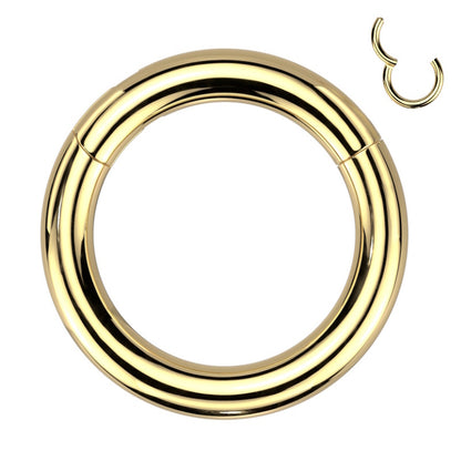 Hinged Segment Ring 8 Gauge ASTM F136 Titanium Gold on a white background.
