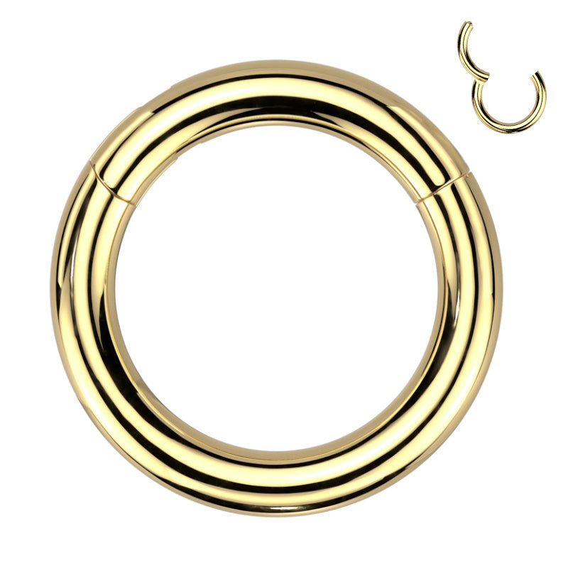 A titanium 8 gauge septum ring featuring a hinged segment style design with a gold finish pictured against a white background.